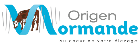 Origen Normande Logo