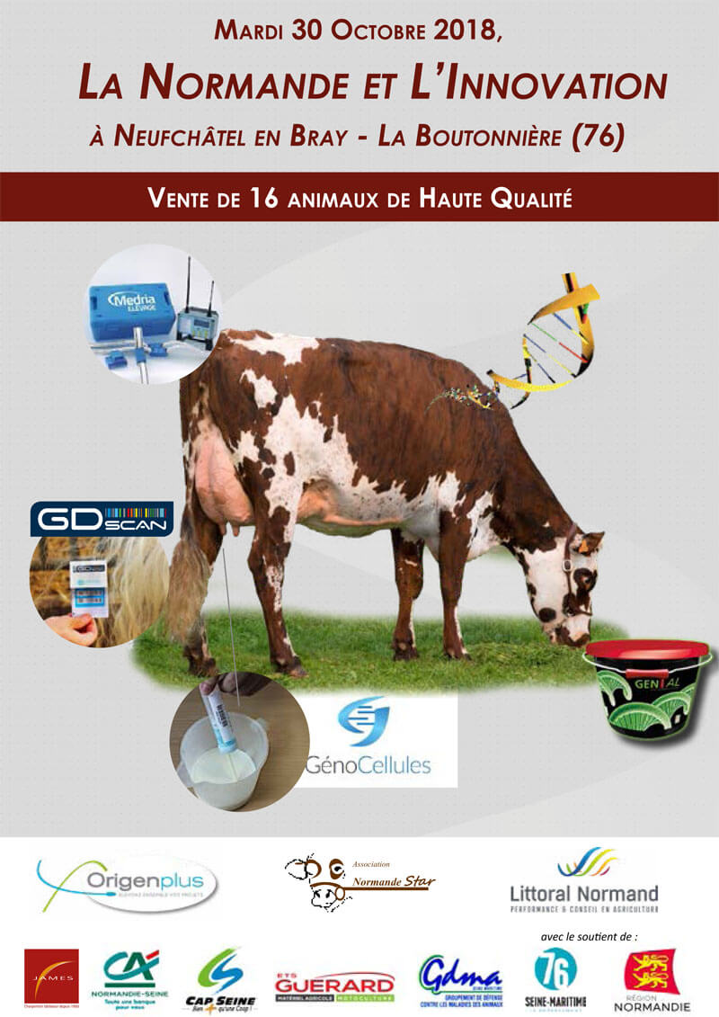 Couverture catalogue "La Normande et L'Innovation"