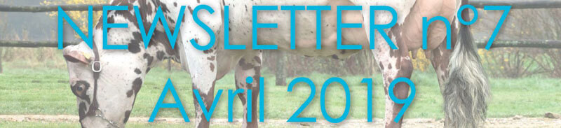 Bandeau de la Newsletter n°7 - Avril 2019
