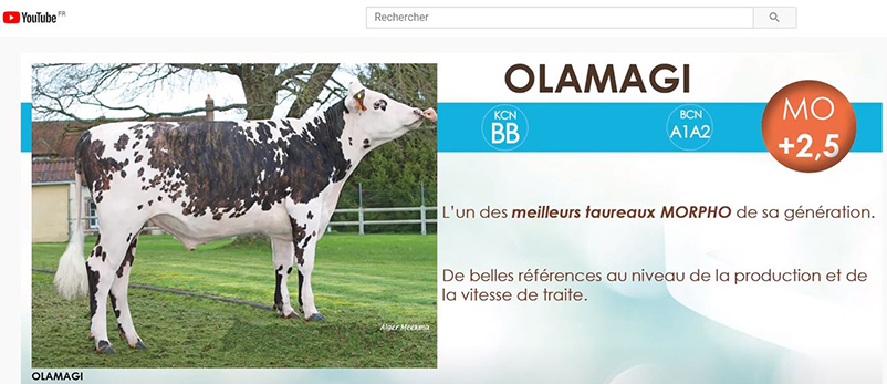 Capture de notre vidéo sur l'indexation d'avril 2020
