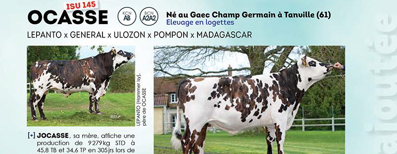 Bandeau de l'article sur Ocasse dans le catalogue #OrigenNormande Juin 2020