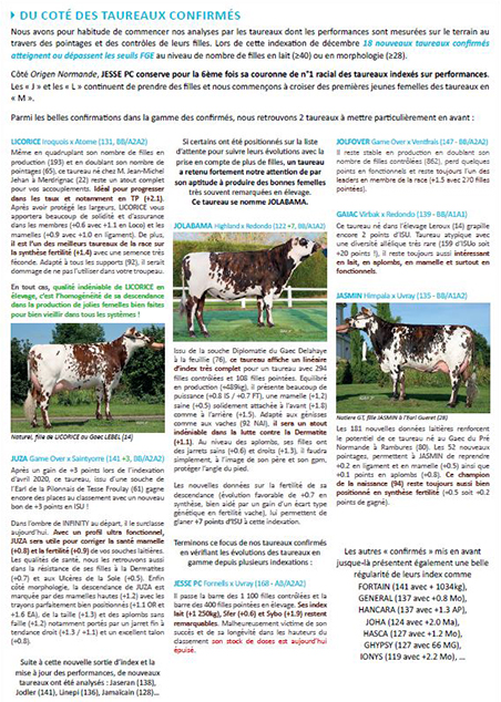 Capture de la page 2, page présentant les taureaux confirmés, de la newsletter Origen Normande