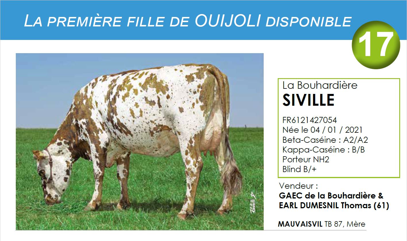 Bandeau de la page de La Bouhardière SIVILLE du catalogue de la vente de l'Orne 2021