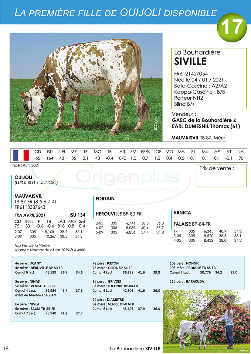 page de La Bouhardière SIVILLE du catalogue de la vente de l'Orne 2021
