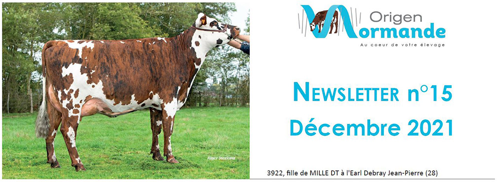 Bandeau de la newsletter n°15 de décembre 2021