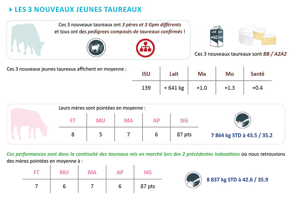 Le profil des jeunes taureaux : pedigrees, Caséines, leurs index, les index de leurs mères et leurs lactations