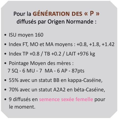 Les profils de la génération des P diffusés par Origen Normande