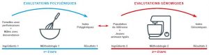 Schéma présentant la sélection génomique avant le Single Step