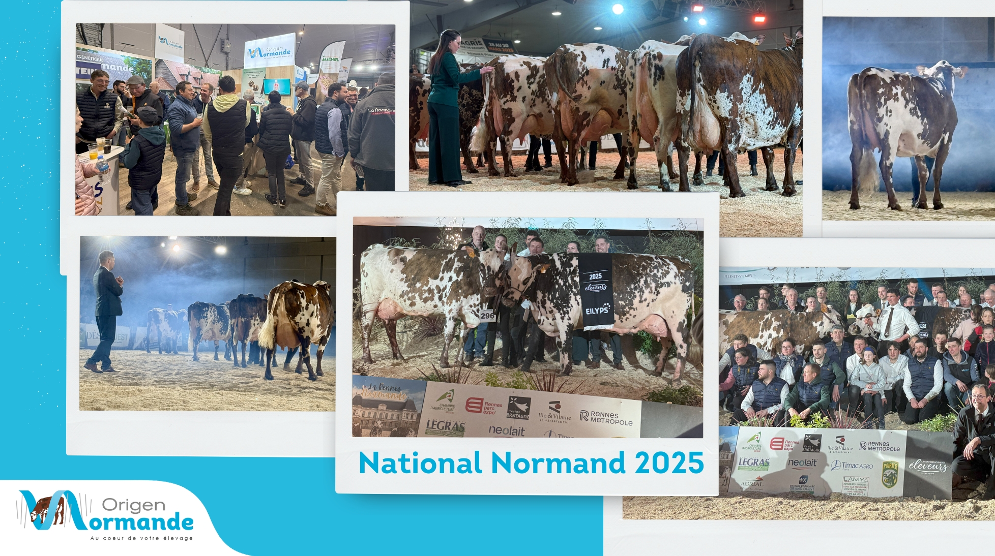 Foire de Rennes – National Normand 2025 : Une réussite !